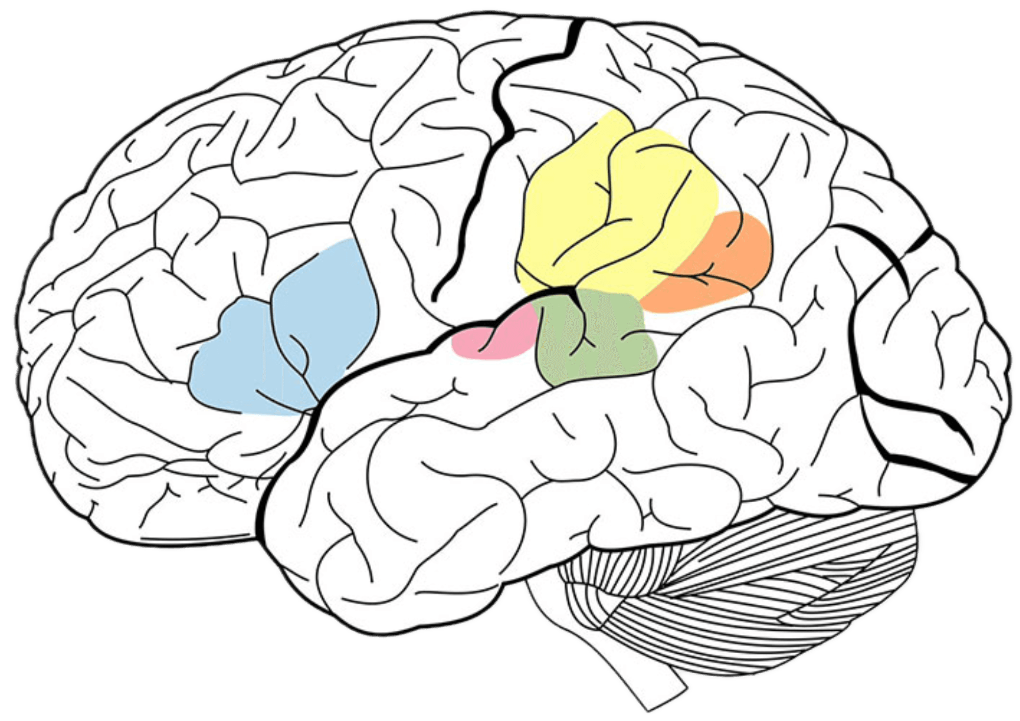 A Tangle of Words Woven by Mind...